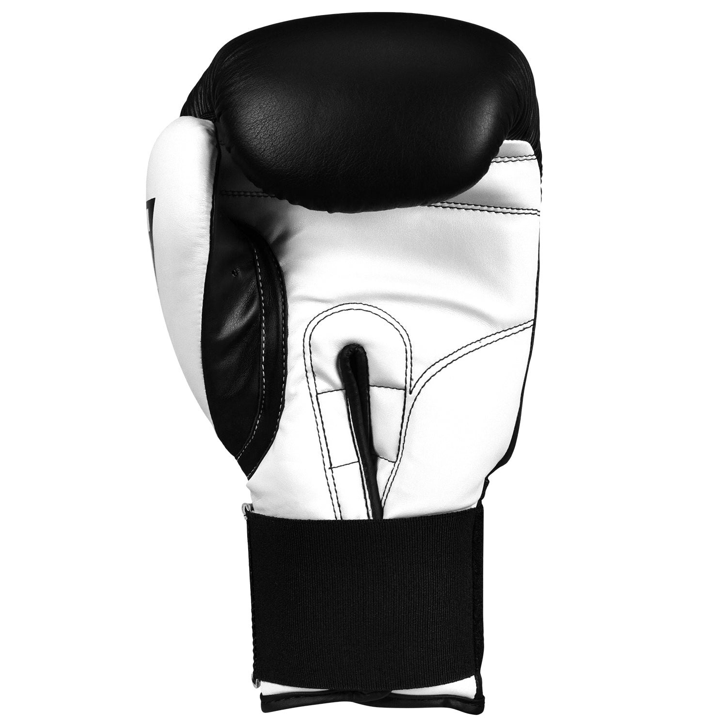 TITLE DYNAMIC CUERO Guantes De boxeo