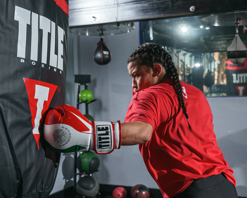 TITLE EL COMBATE MEXICO guantes de boxeo