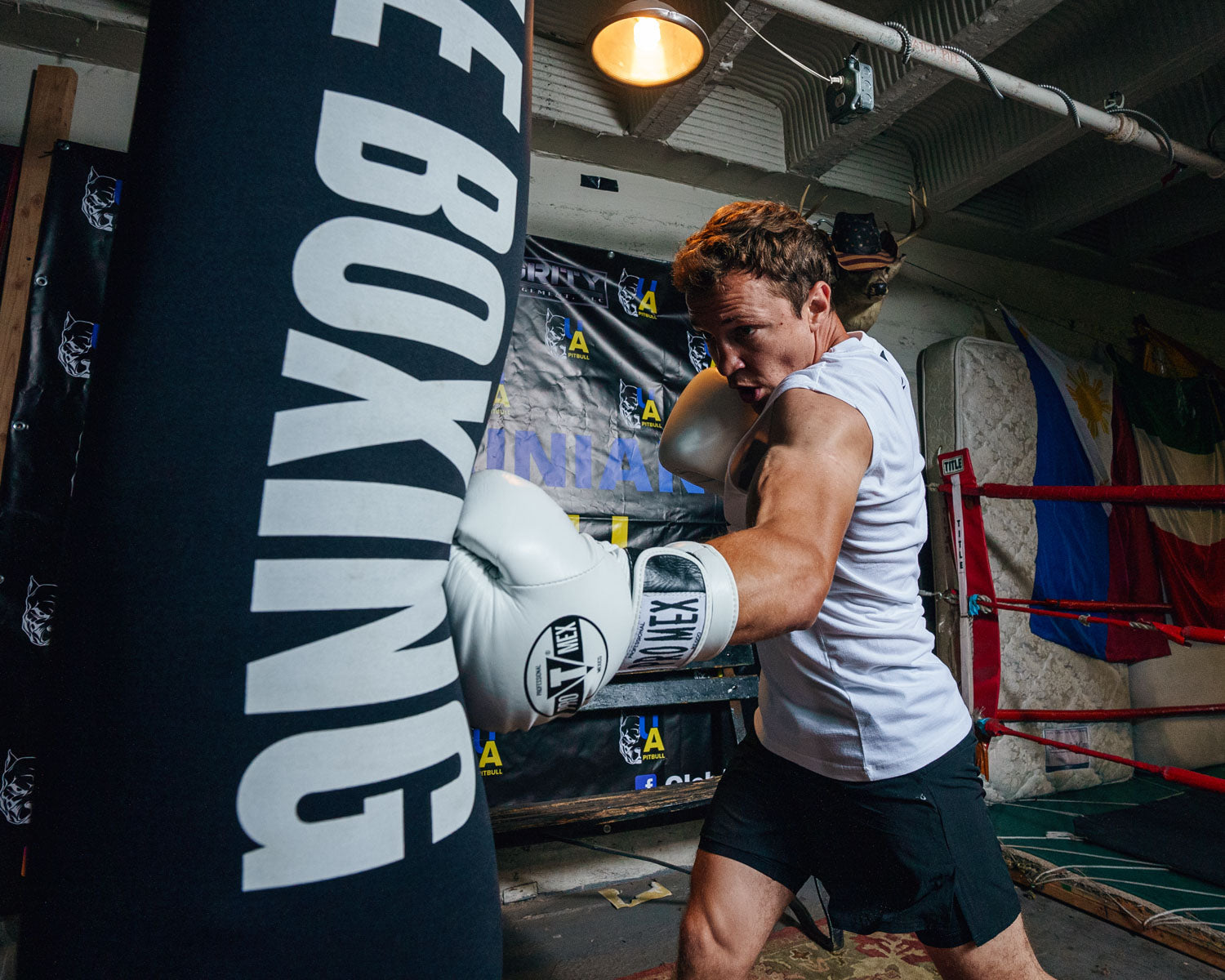 TITLE PRO MEX CUERO Guantes de boxeo